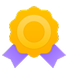 Coverage Terms Icon